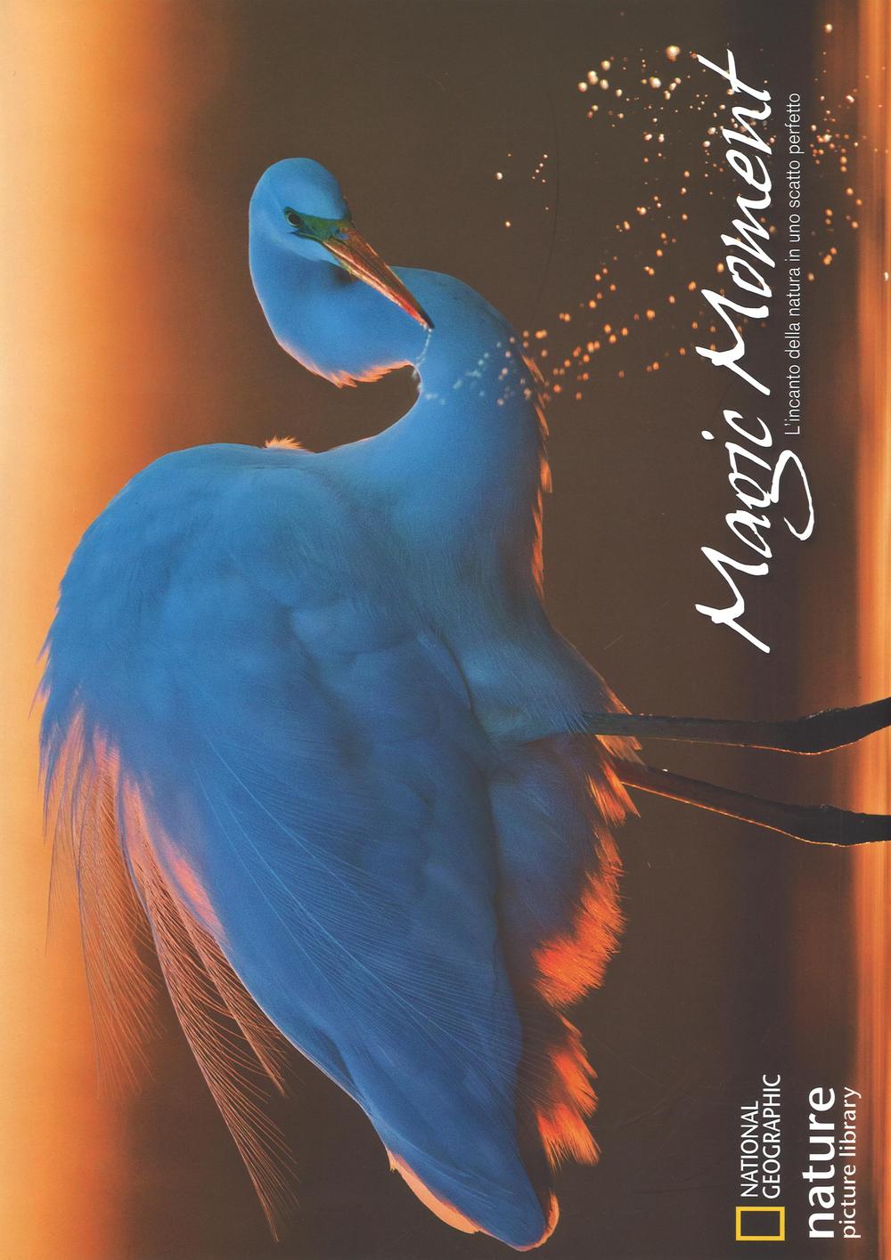 Magic moment. L'incanto della natura in uno scatto perfetto