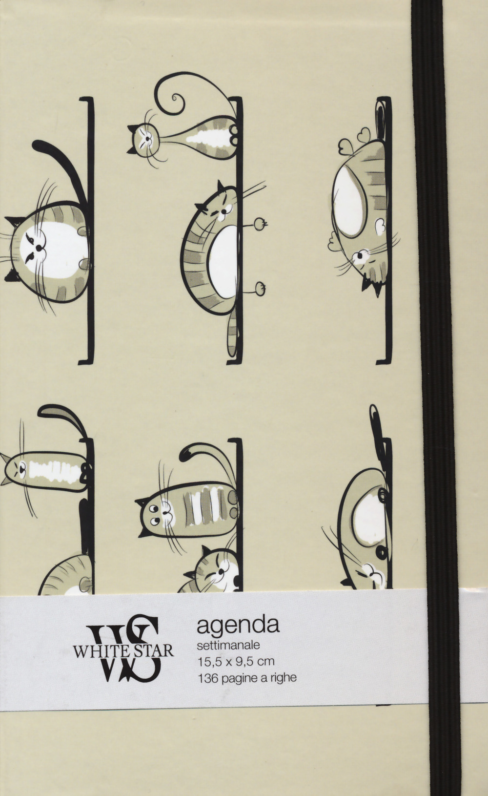 Gatti 2. Agenda settimanale 2018