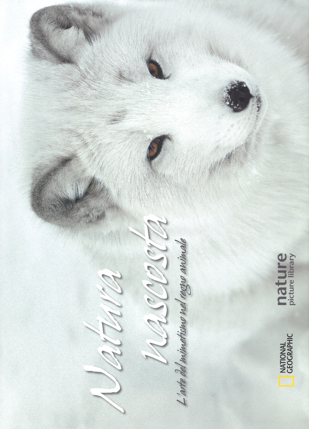 Natura nascosta. L'arte del mimetismo nel regno animale