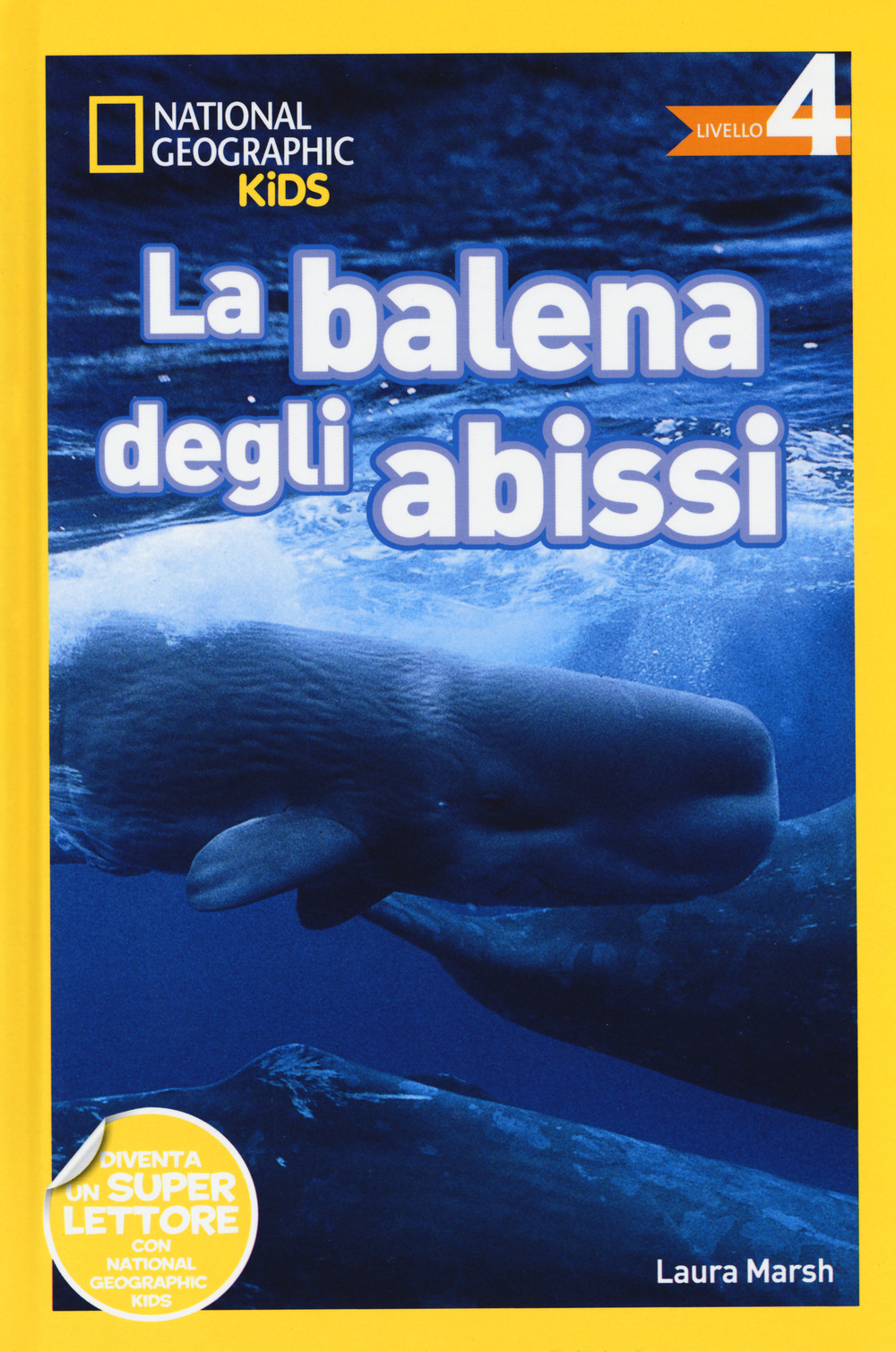 Balene. Livello 4