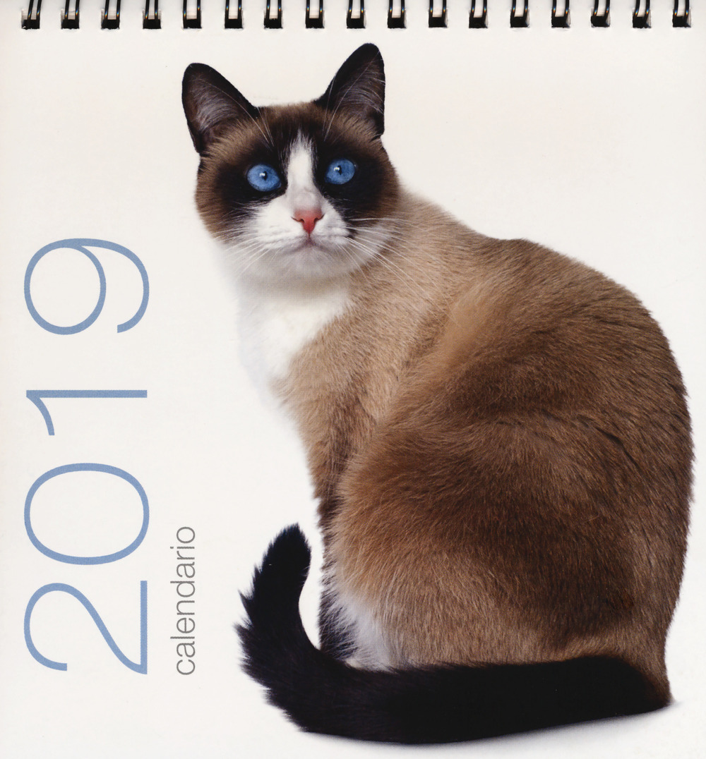 Gatti. Calendario da tavolo 2019