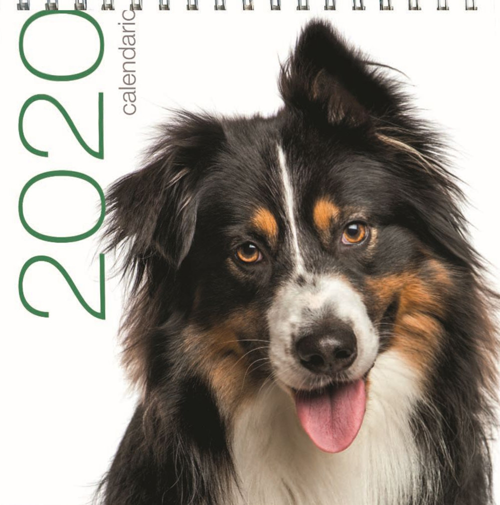 Cani. Calendario da tavolo 2020