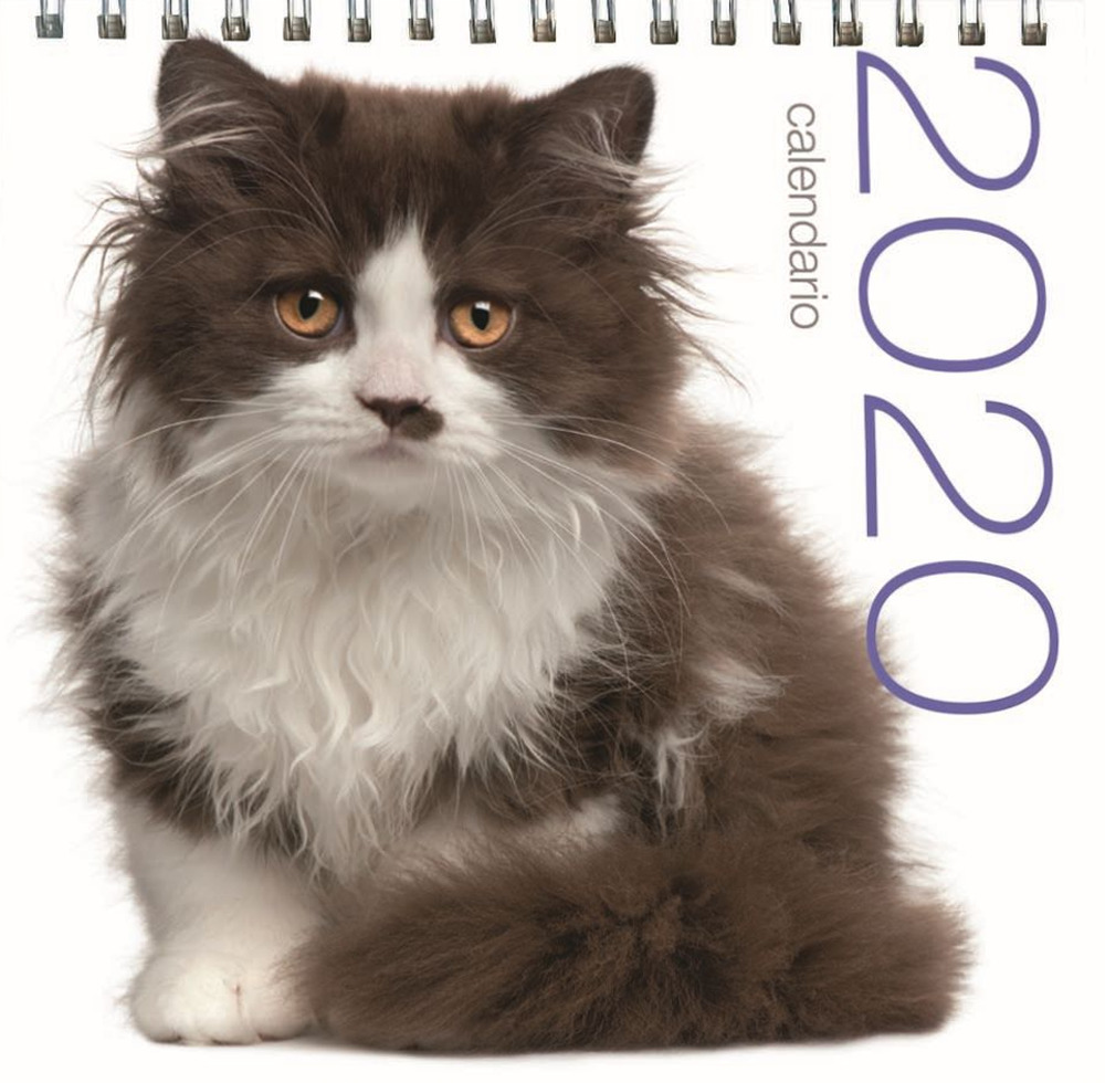 Gatti. Calendario da tavolo 2020