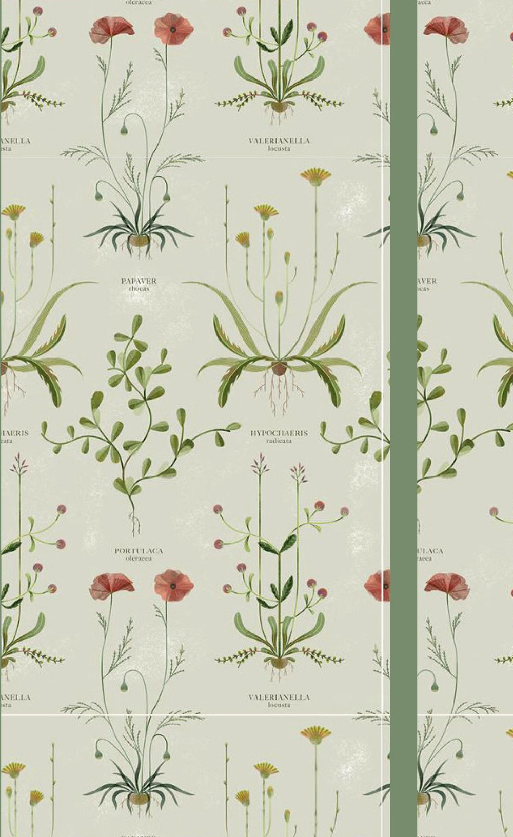 Botanical pattern. Agenda settimanale 2020