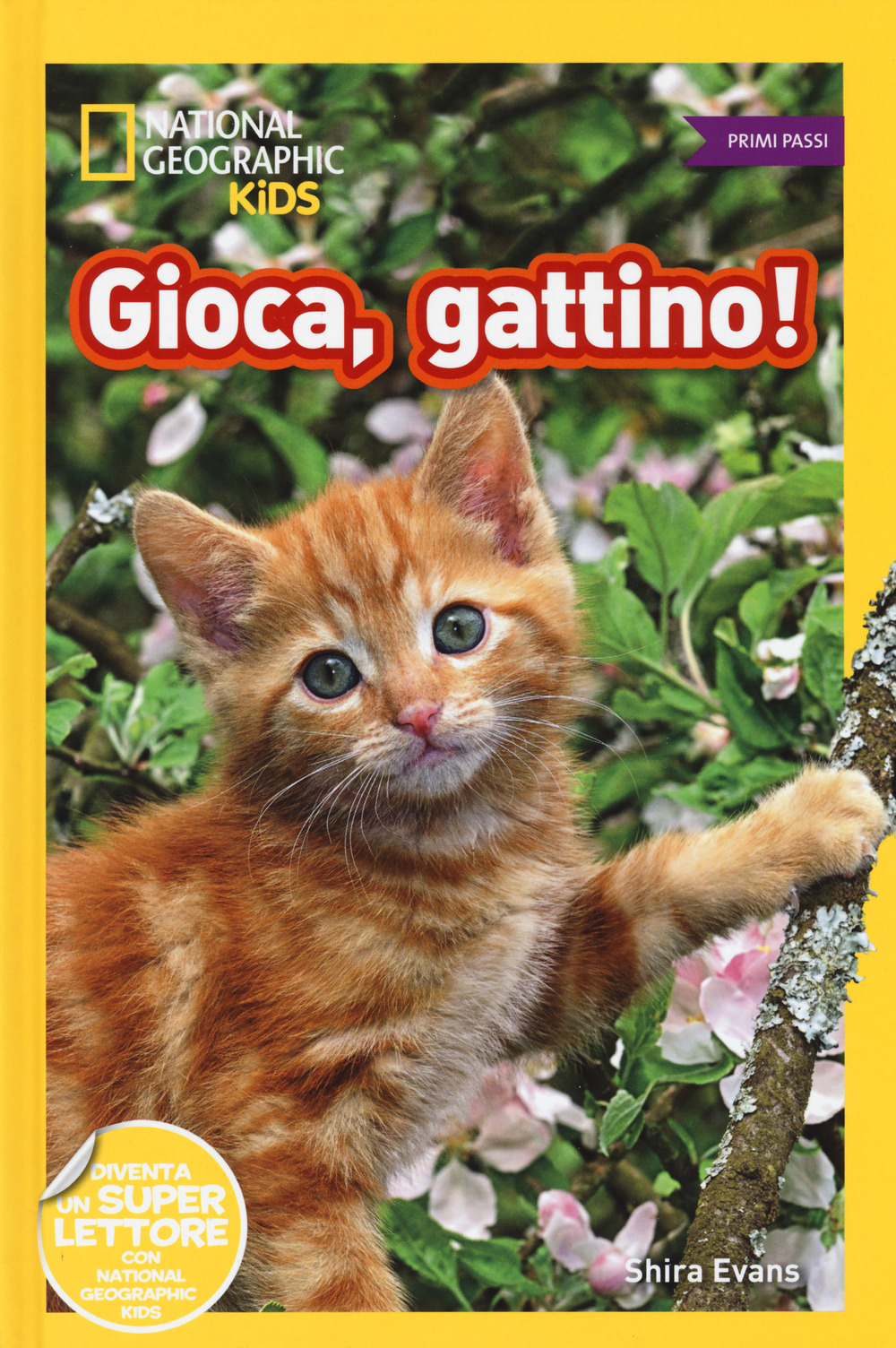 Gioca, gattino! Primi passi. Diventa un super lettore