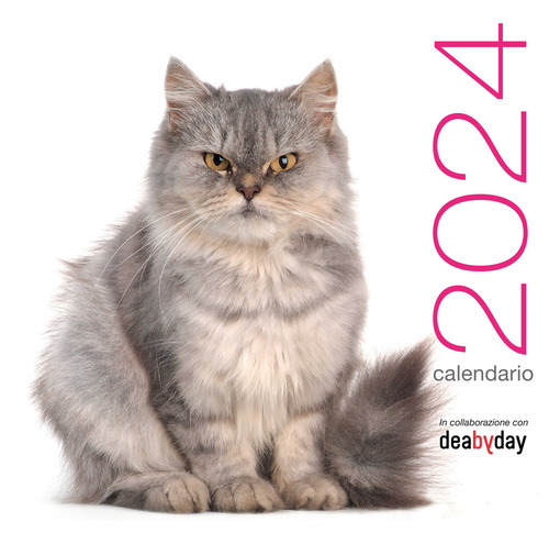 Gatti. Calendario da muro 2024