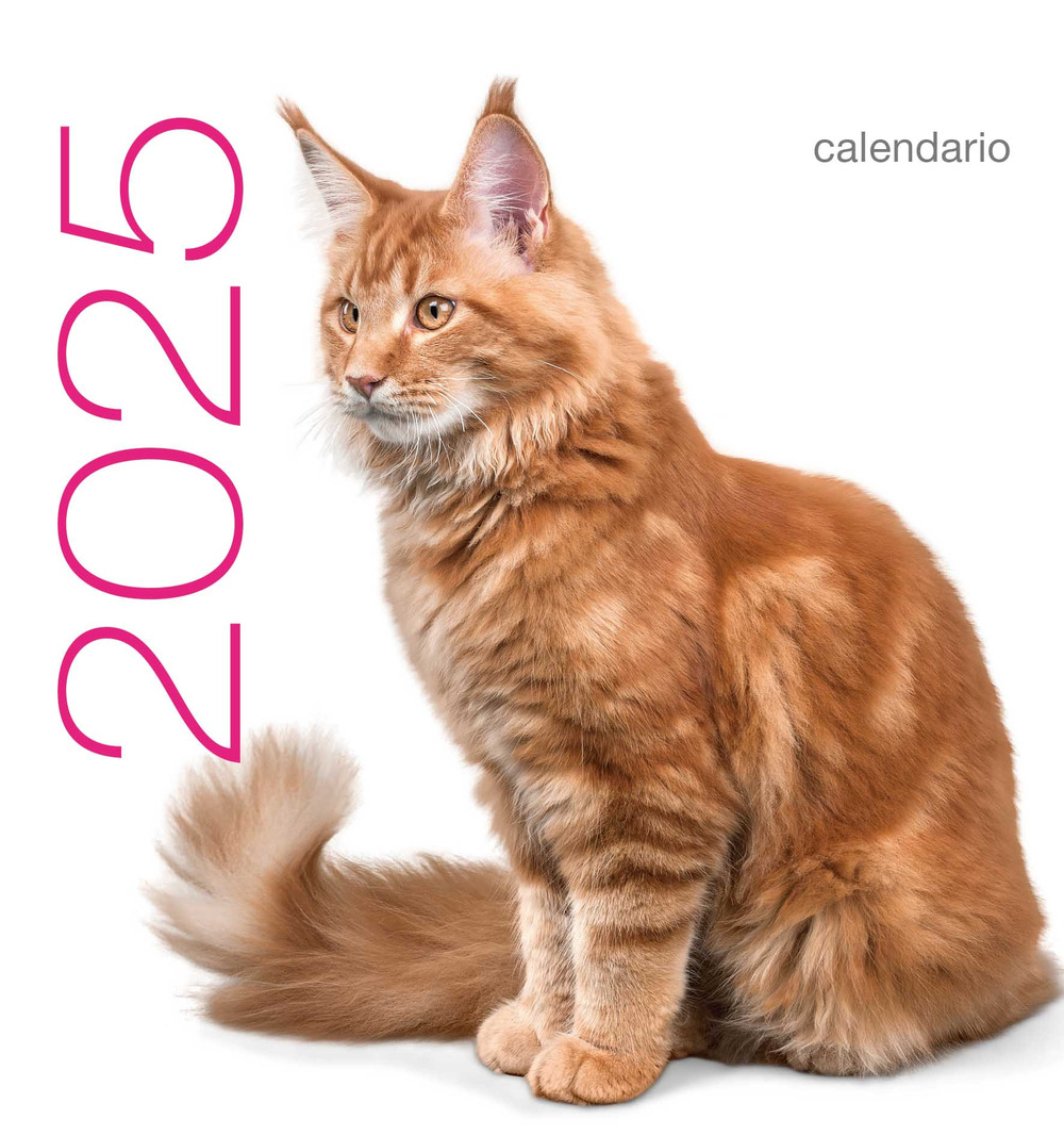 Gatti. Calendario da tavolo 2025