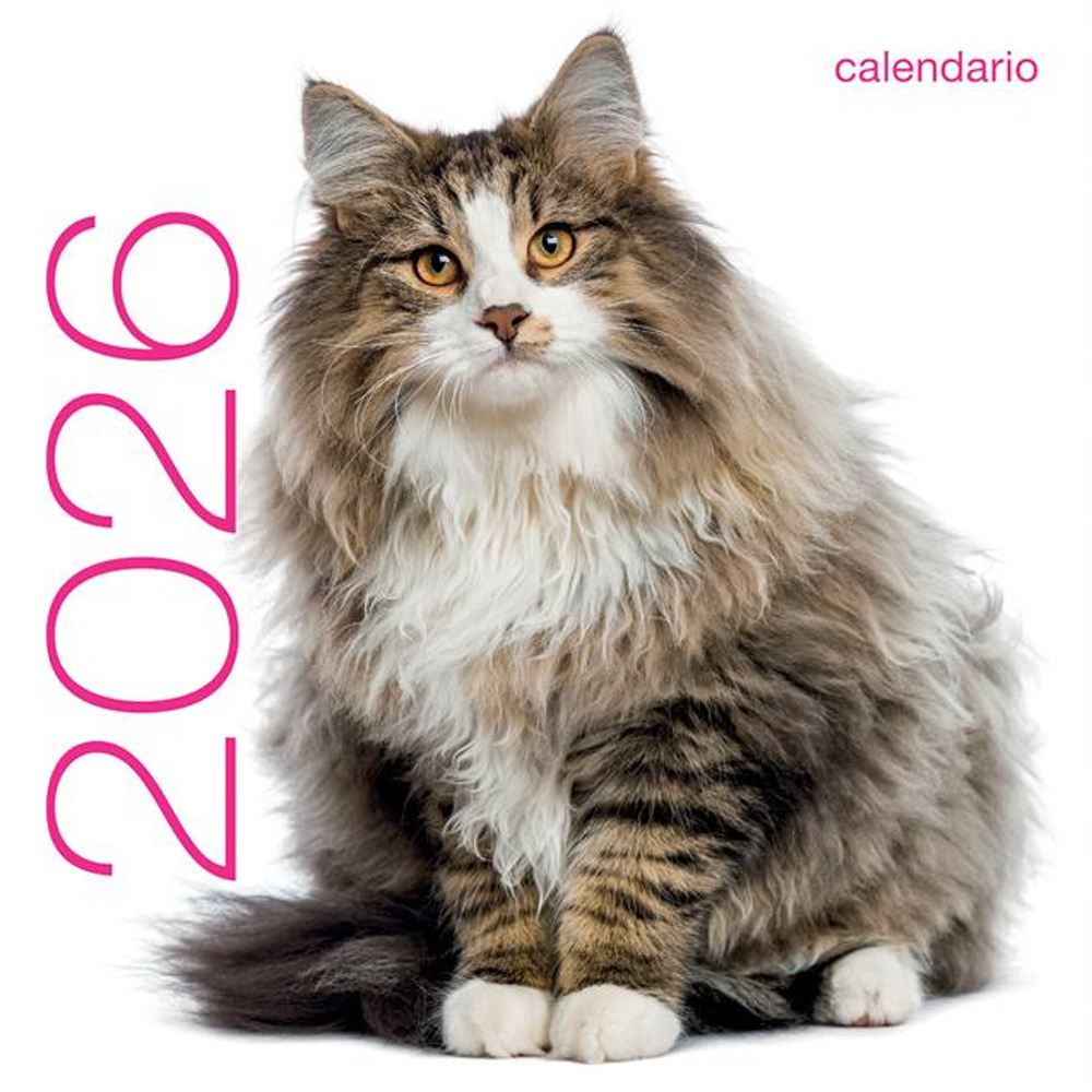Gatti. Calendario da muro 2026