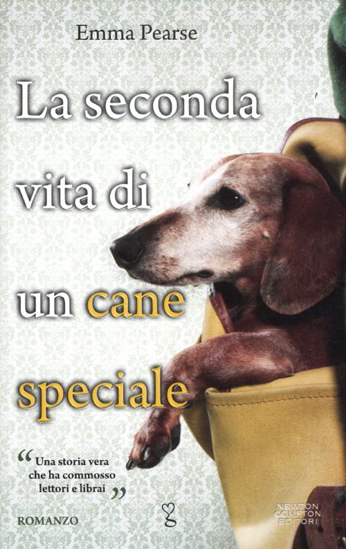 La seconda vita di un cane speciale