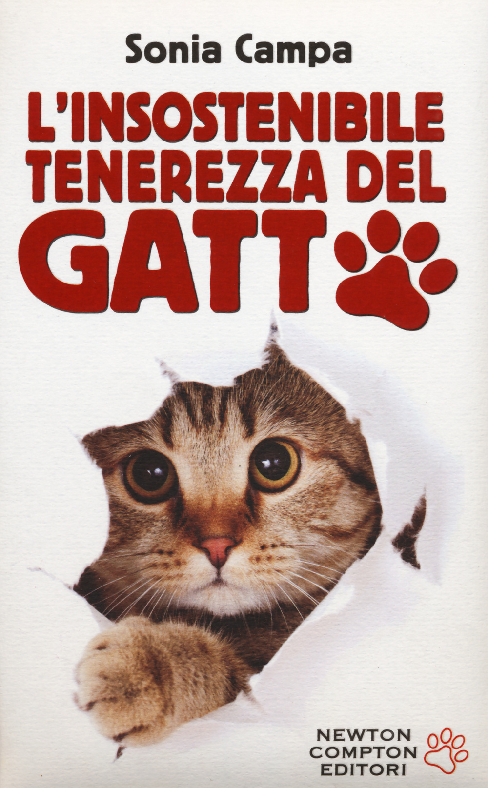 L'insostenibile tenerezza del gatto