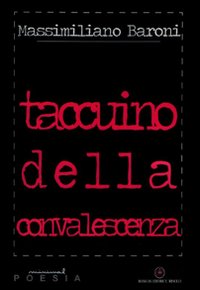 Taccuino della convalescenza