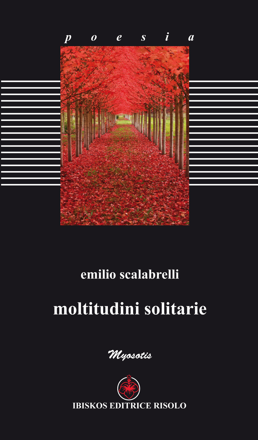 Moltitudini solitarie