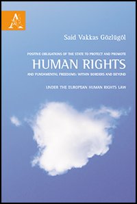 Positive obligations of the state to protect and promote human rights and human rights law