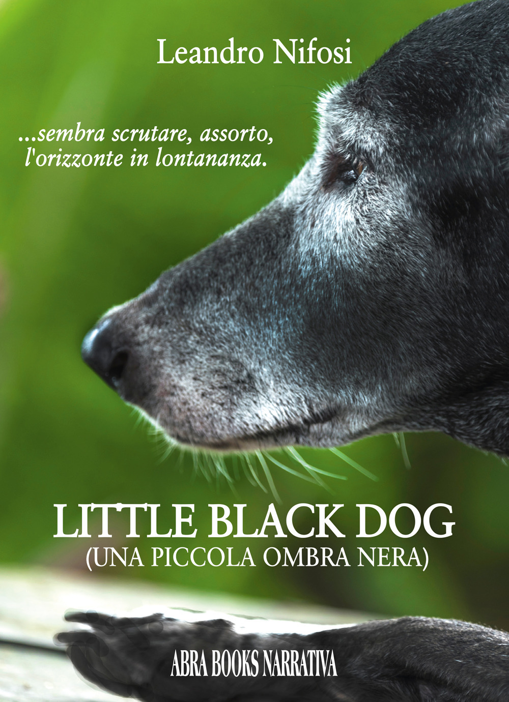 Little black dog. Una piccola ombra nera