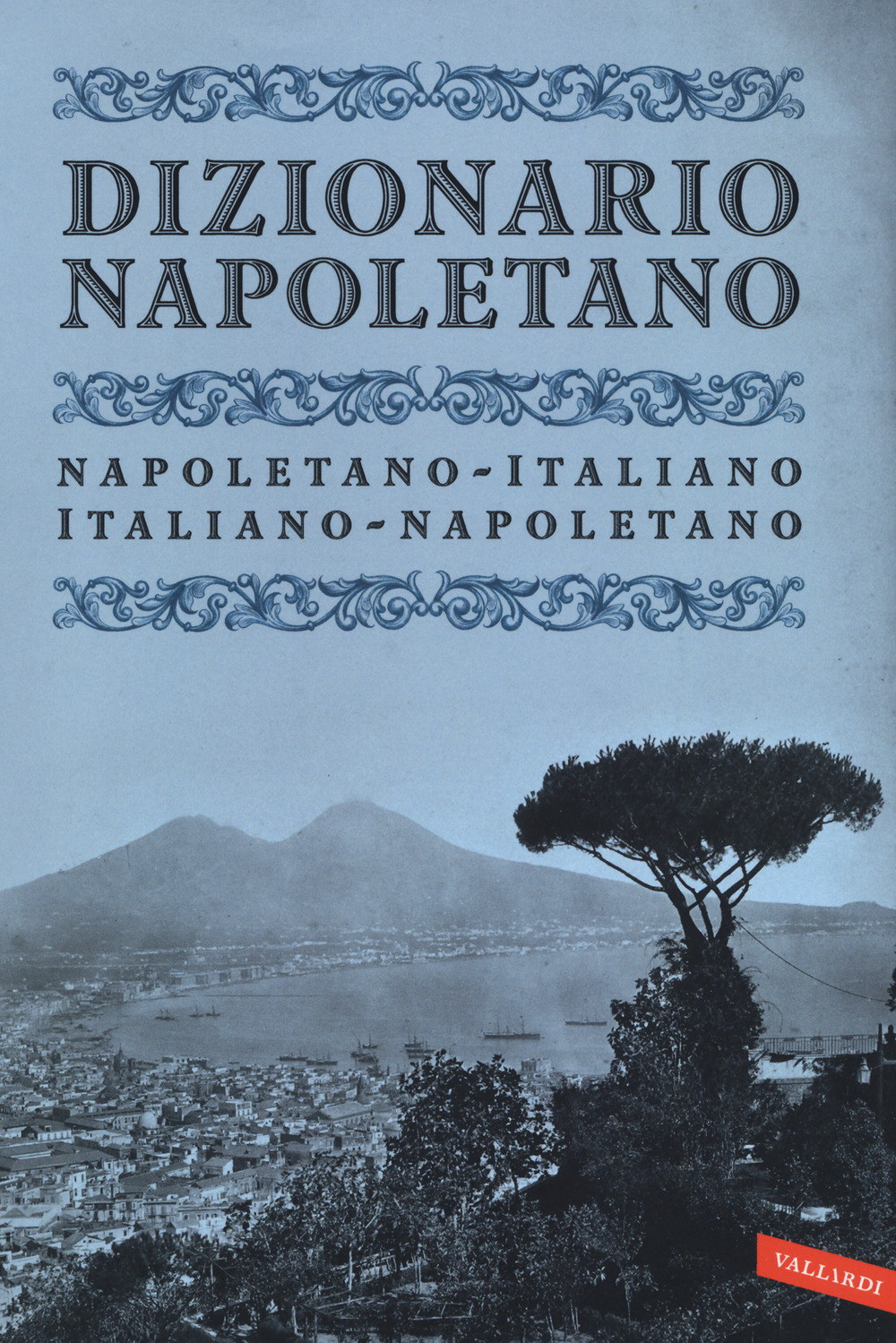 Dizionario napoletano