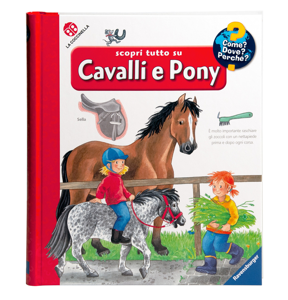 Scopri tutto su cavalli e pony!