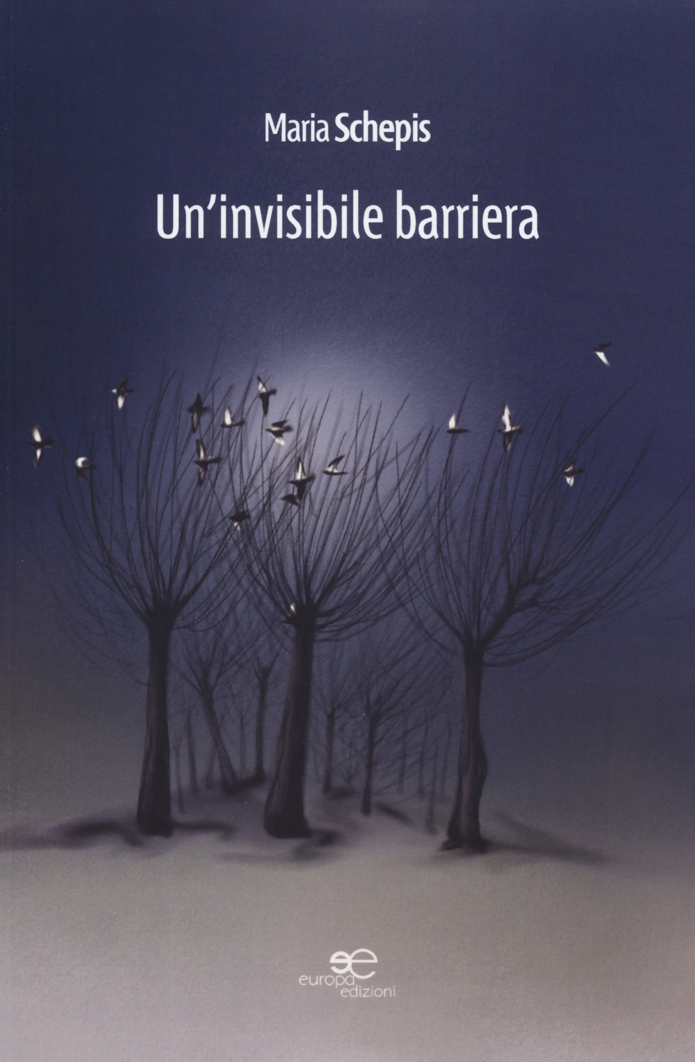 Un'invisibile barriera