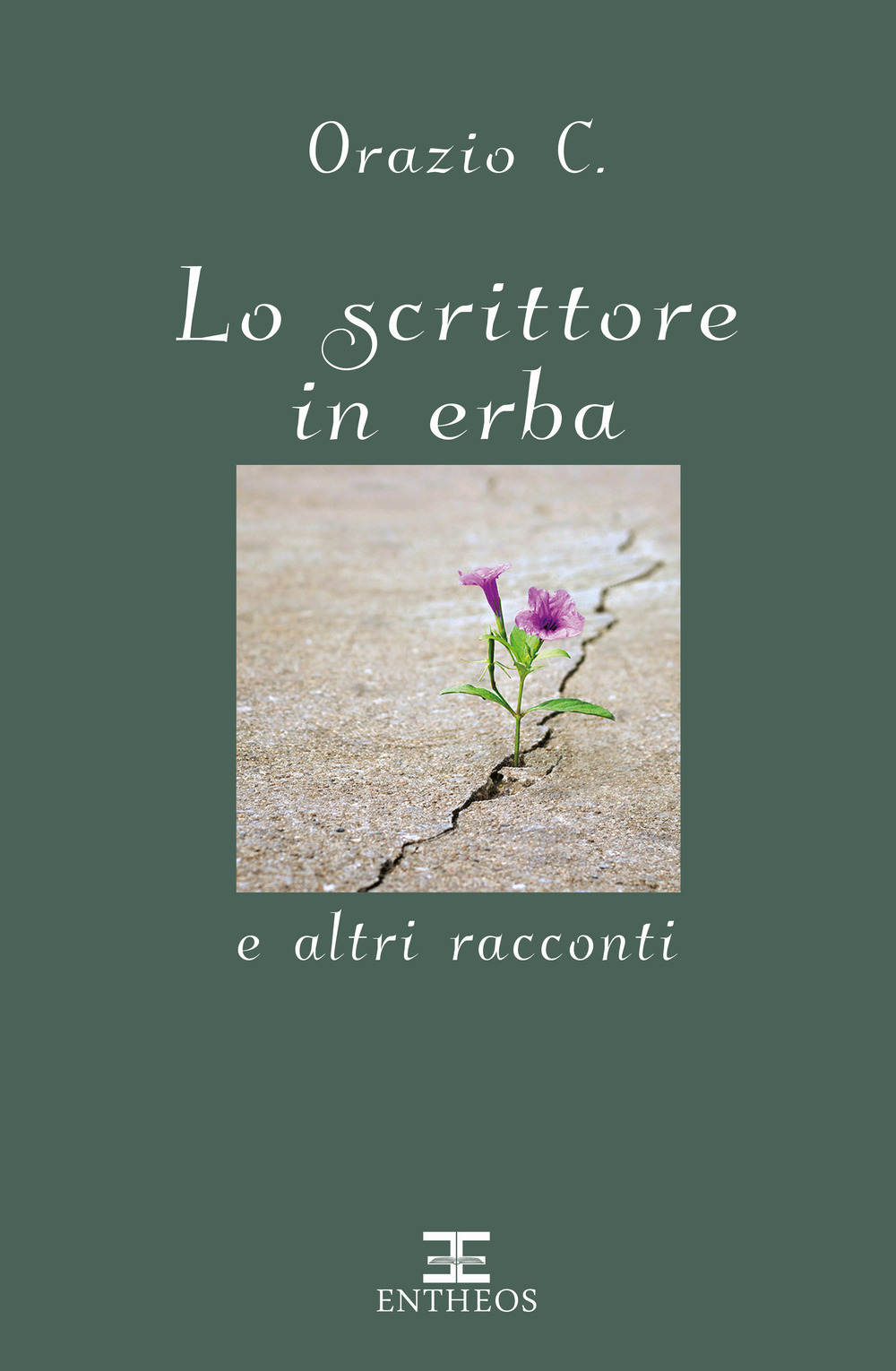 Lo scrittore in erba e altri racconti