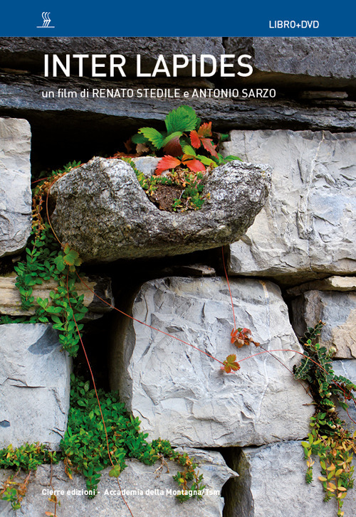 Inter lapides