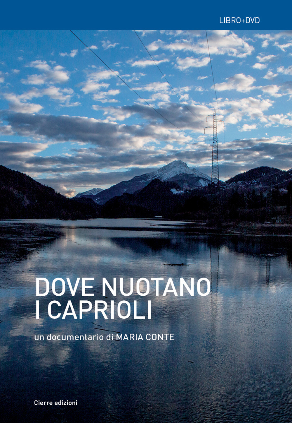 Dove nuotano i caprioli. Acque, memorie, tralicci e r-esistenze in Cadore