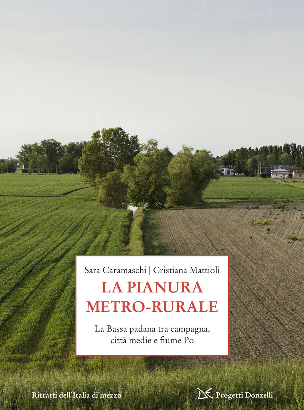 La pianura metro-rurale. La Bassa padana tra campagna, città medie e fiume Po