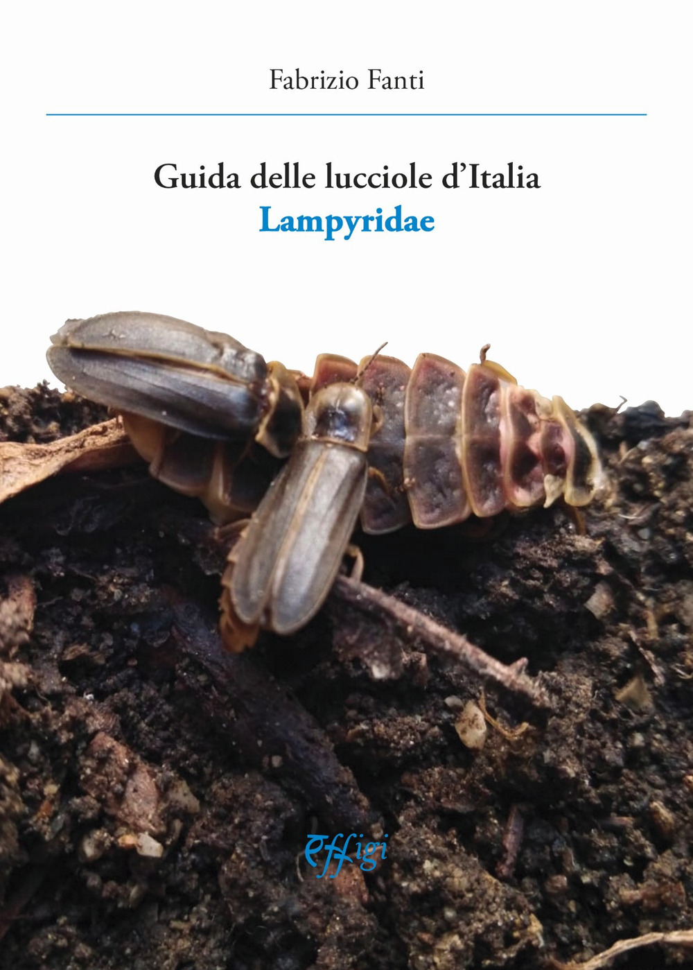 Guida delle lucciole d'Italia lampyridae