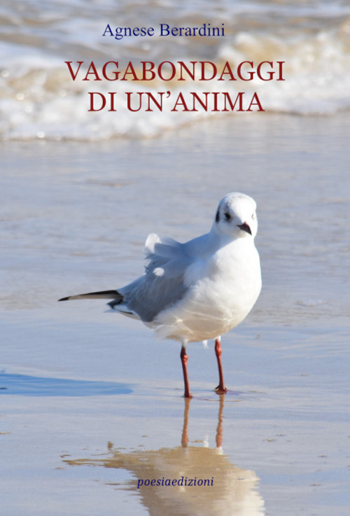 Vagabondaggi di un’anima