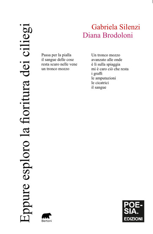 Eppure esploro la fioritura dei ciliegi