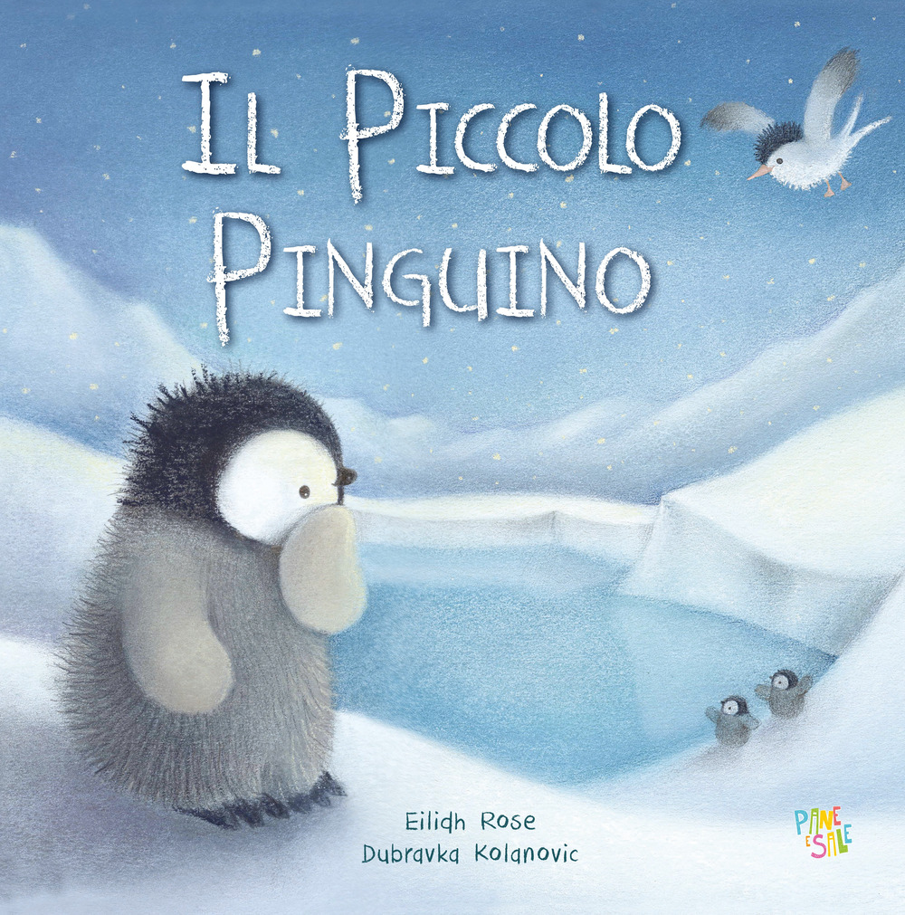 Il piccolo pinguino