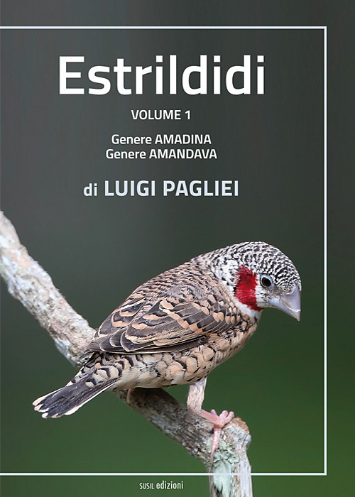 Estrildidi. Vol. 1: Genere amadina, genere amandava