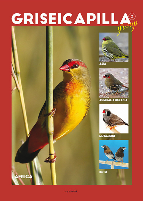 Griseicapilla Group. Vol. 2