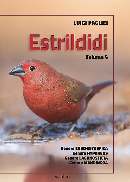 Estrildidi. Vol. 4