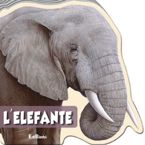 L'elefante. Animali selvaggi