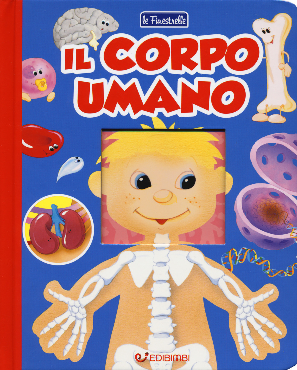 Il corpo umano