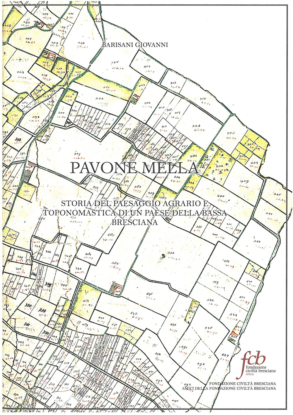 Pavone Mella. Storia del paesaggio agrario e toponomastica di un paese della bassa bresciana