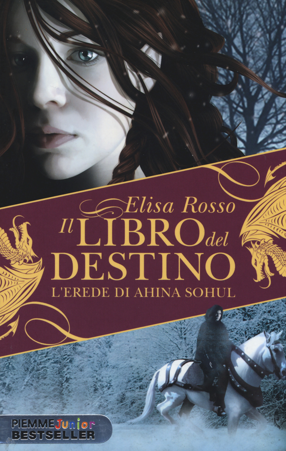 L'erede di Ahina Sohul. Il libro del destino
