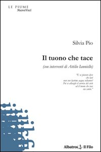 Il tuono che tace (con interventi di Attilio Ianniello)