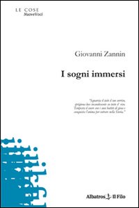 I sogni immersi