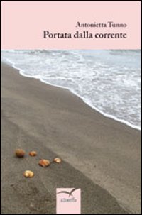 Portata dalla corrente