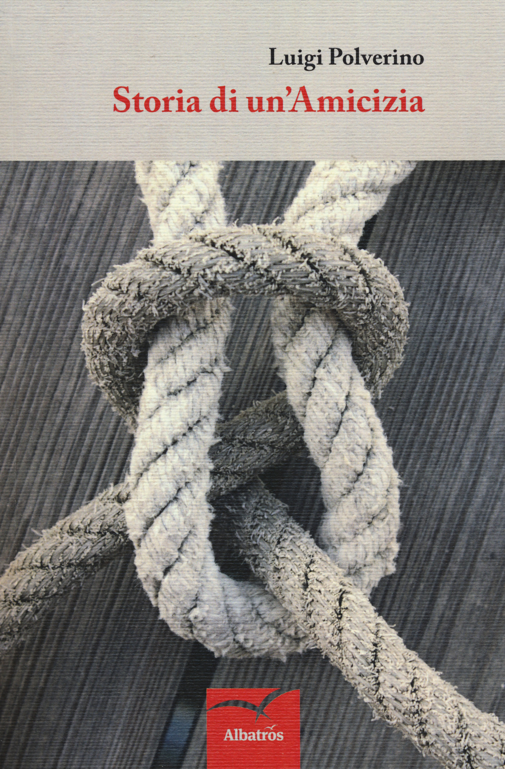 Storia di un'amicizia