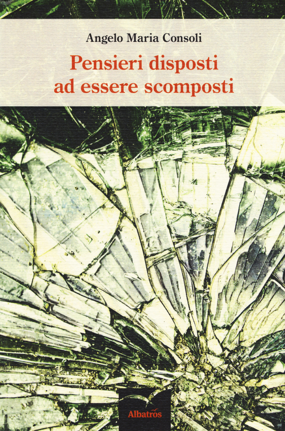 Pensieri disposti ad essere scomposti