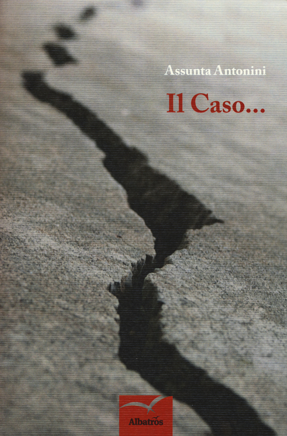 Il caso... (casualità e certezza)