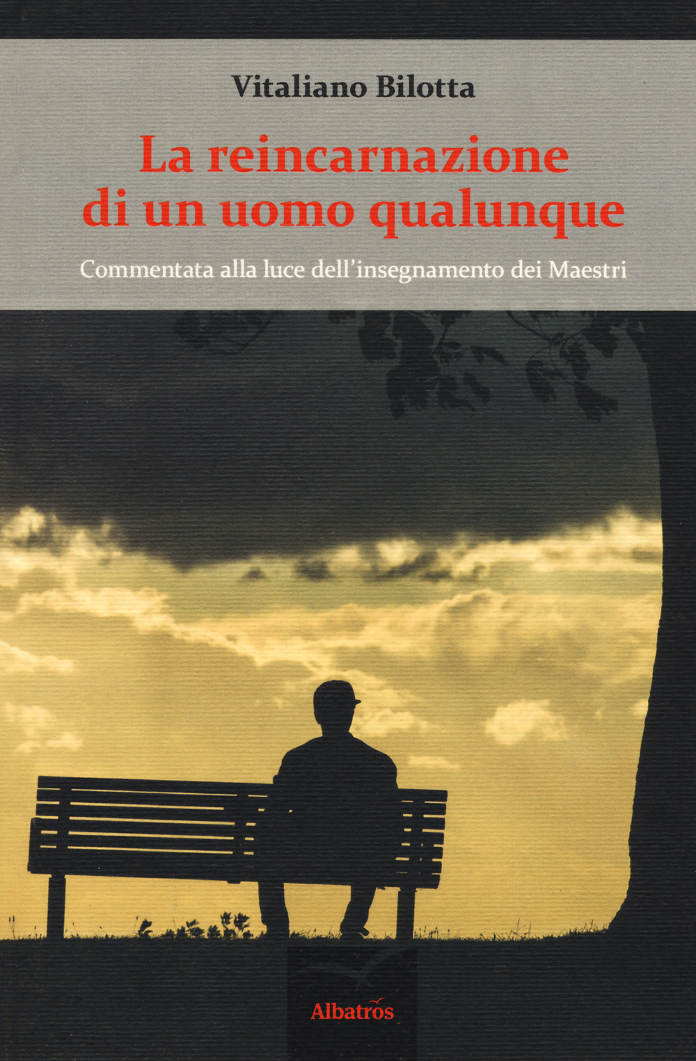 La reincarnazione di un uomo qualunque. Commentata alla luce dell'insegnamento dei Maestri