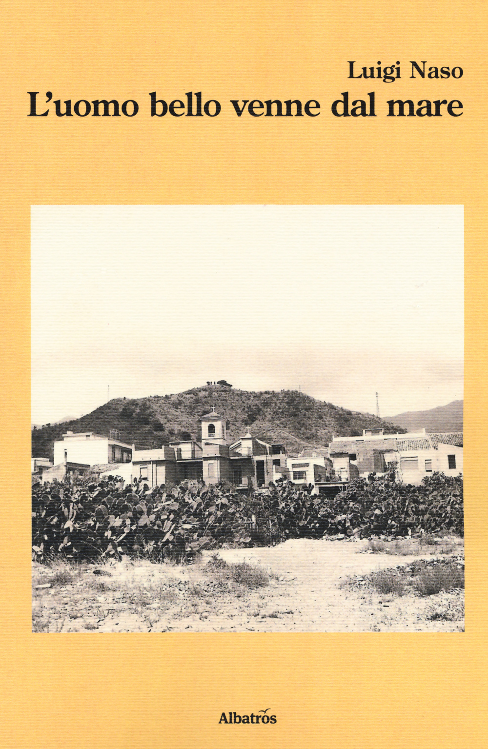 L'uomo bello venne dal mare