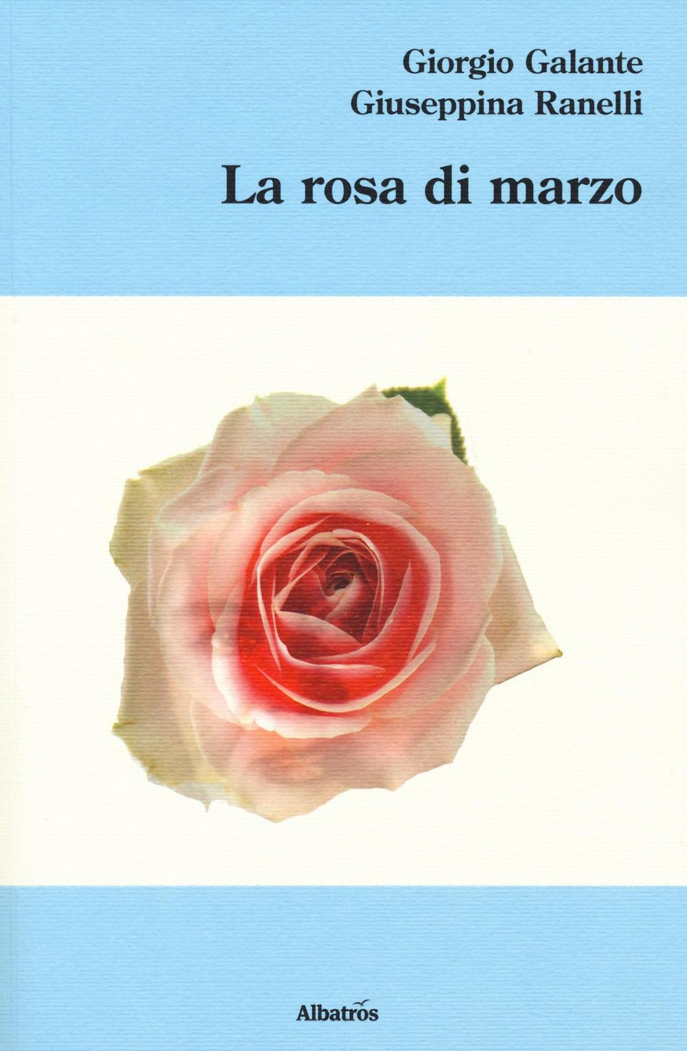 La rosa di marzo
