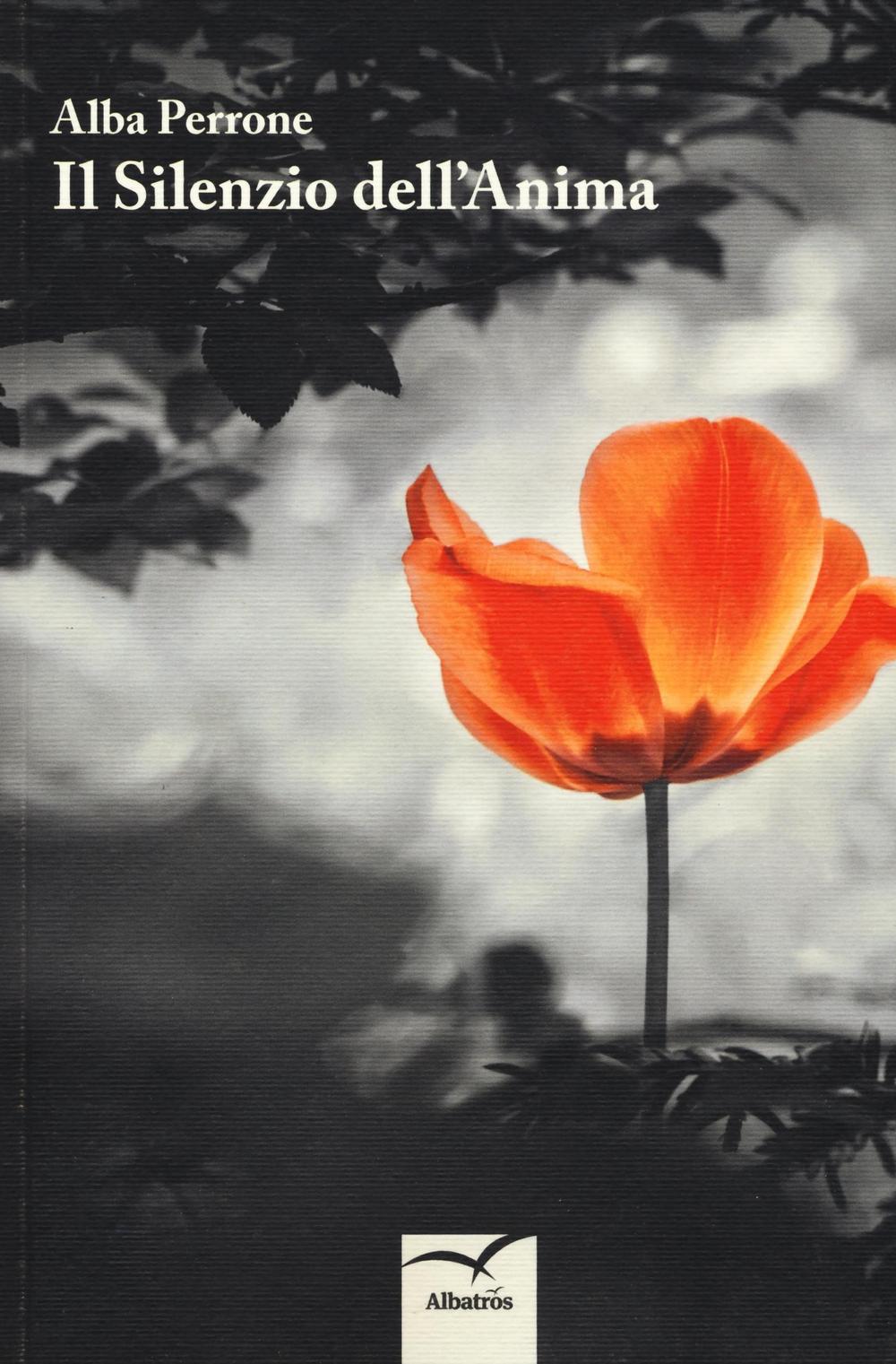 Il silenzio dell'anima