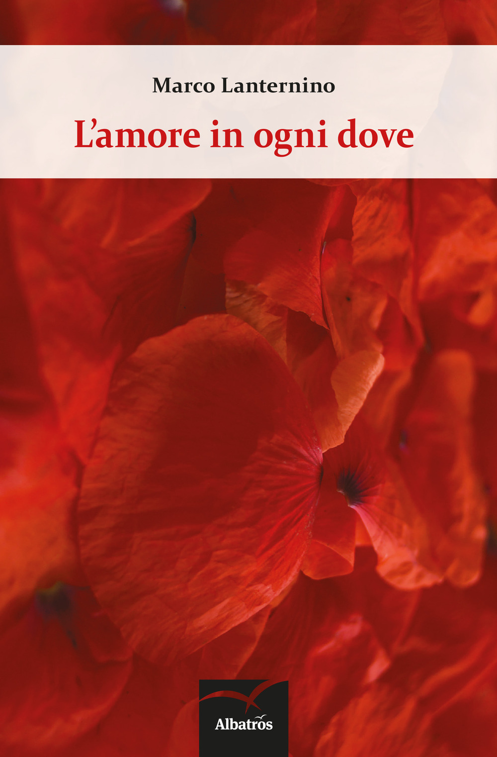 L'amore in ogni dove