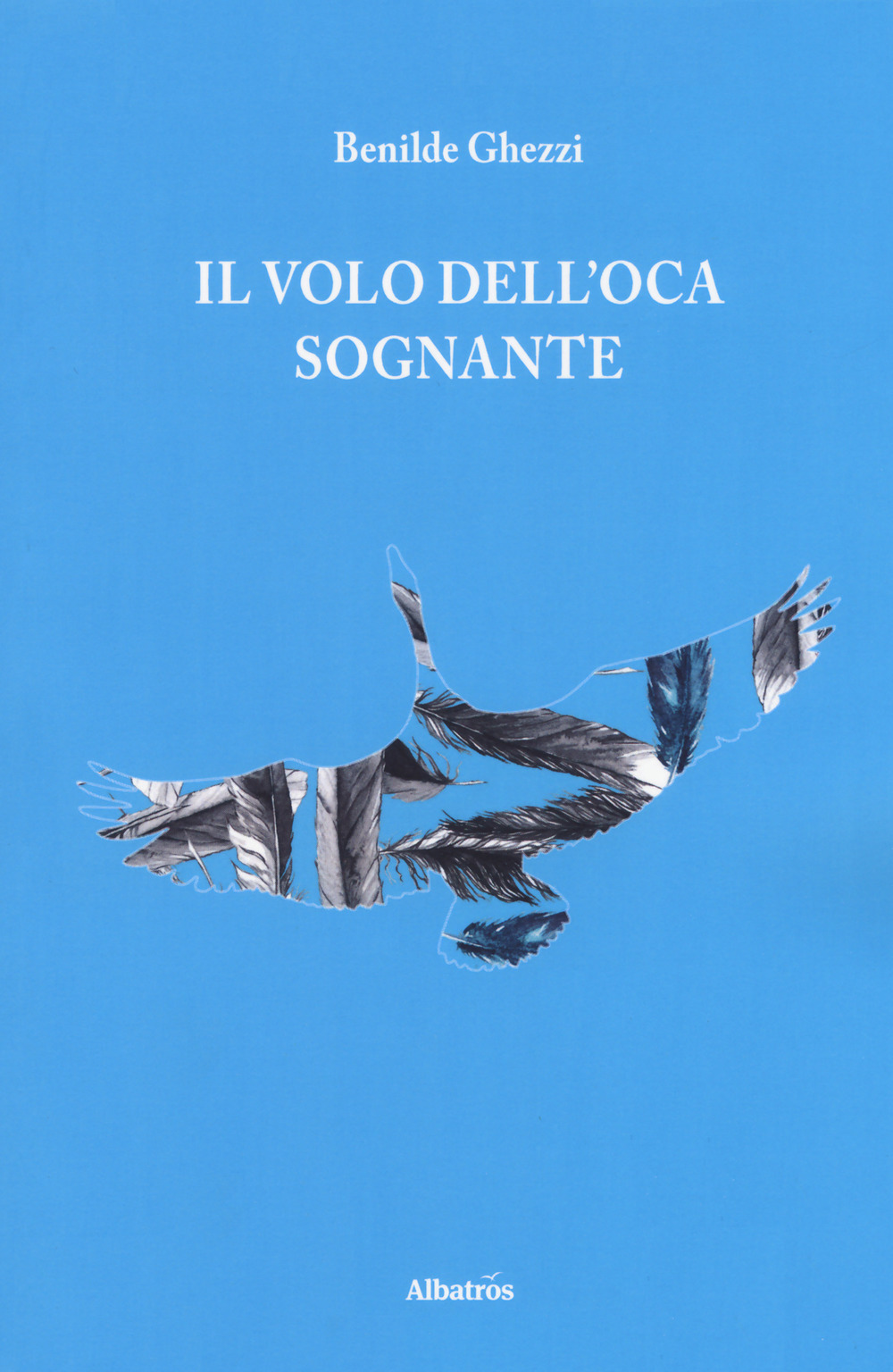 Il volo dell'oca sognante