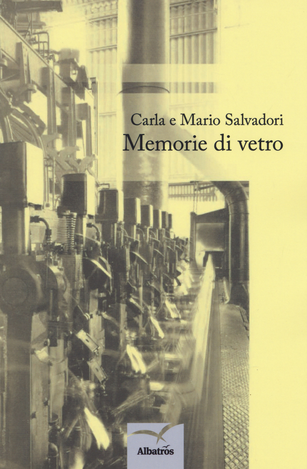Memorie di vetro