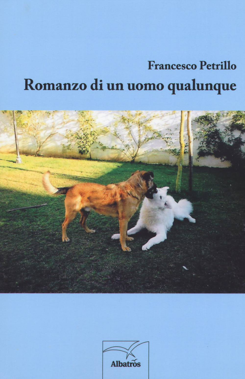 Romanzo di un uomo qualunque